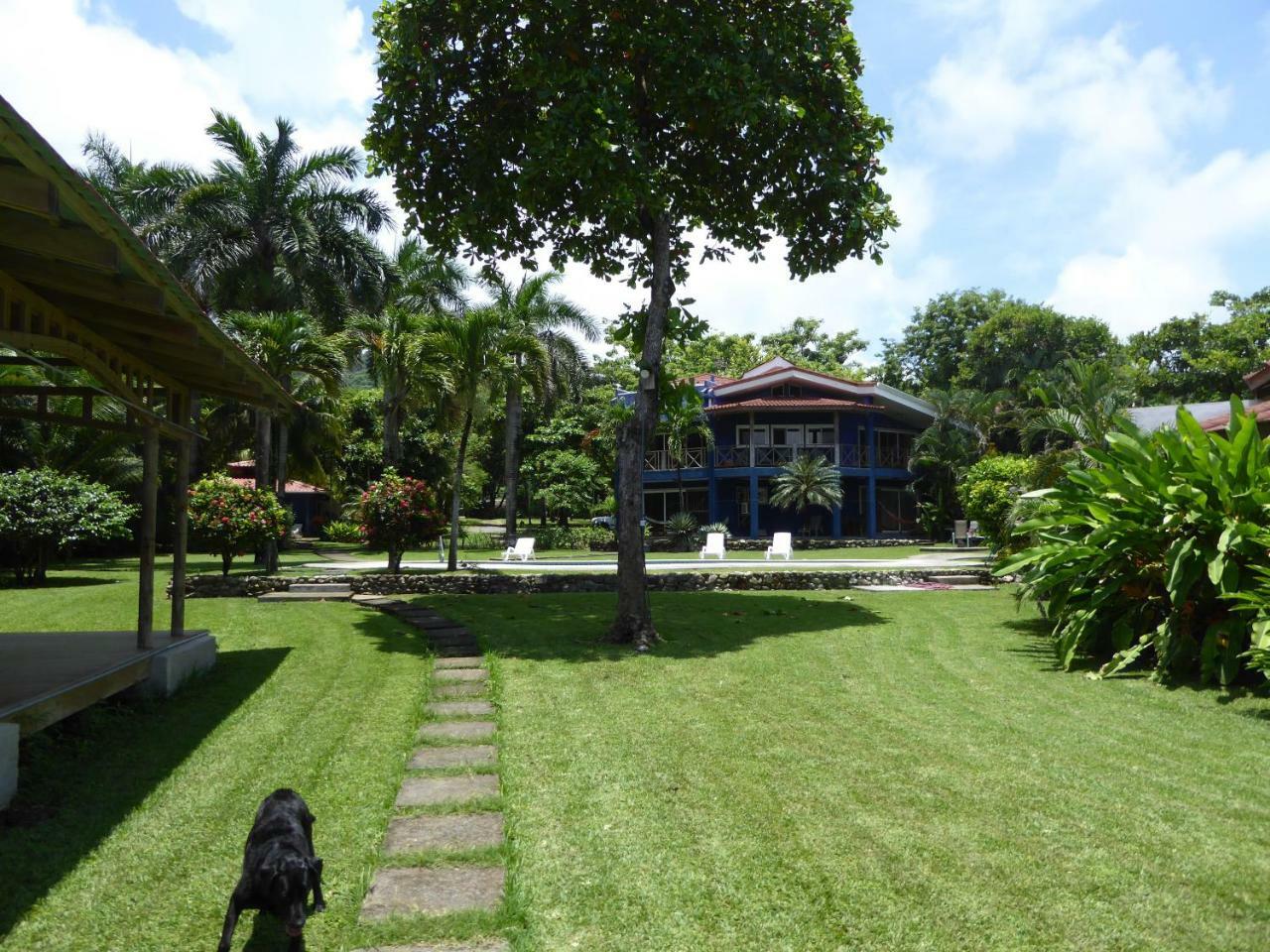 Hotel Casa Azul Playa Santa Teresa  Eksteriør billede